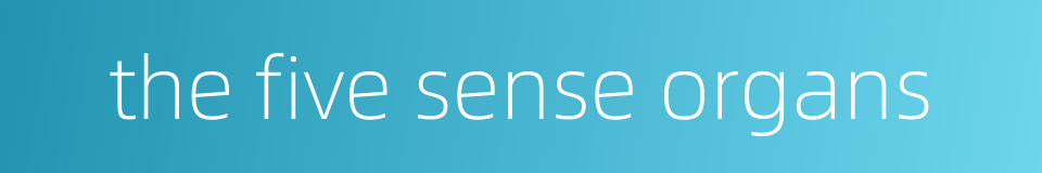 the five sense organs的同义词