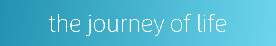 the journey of life的同义词