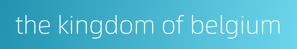 the kingdom of belgium的同义词