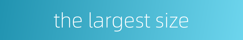 the largest size的同义词
