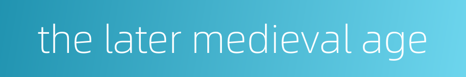 the later medieval age的同义词