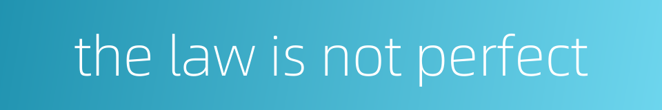 the law is not perfect的同义词