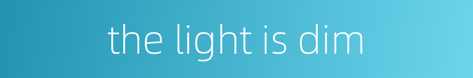the light is dim的同义词