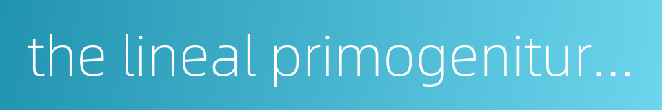 the lineal primogeniture system的同义词