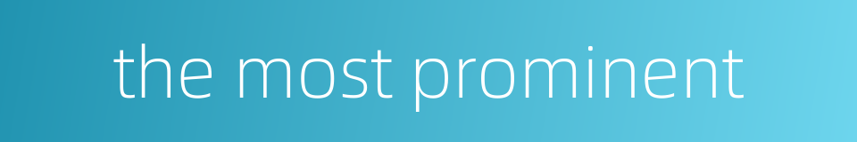 the most prominent的同义词