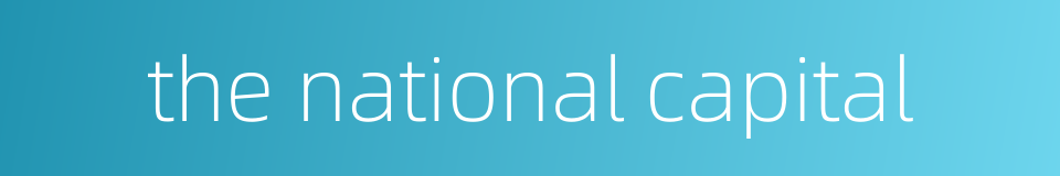 the national capital的同义词