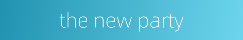 the new party的同义词