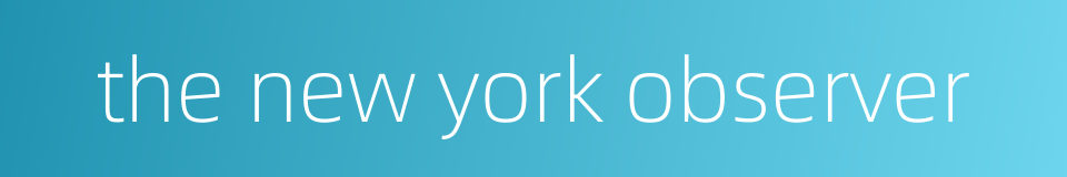 the new york observer的同义词