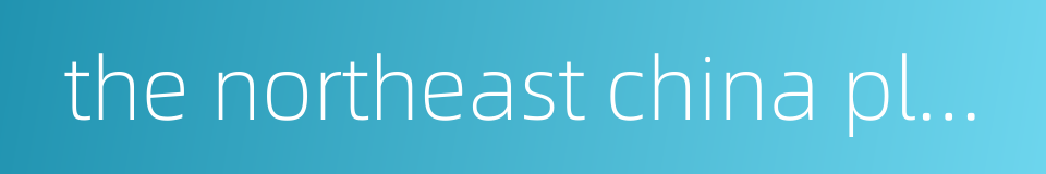 the northeast china plain的同义词