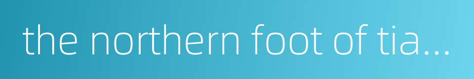 the northern foot of tianshan mountain的同义词