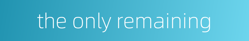 the only remaining的同义词