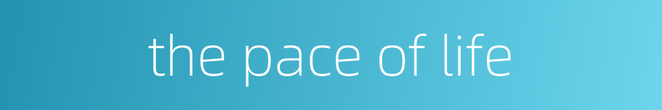 the pace of life的同义词