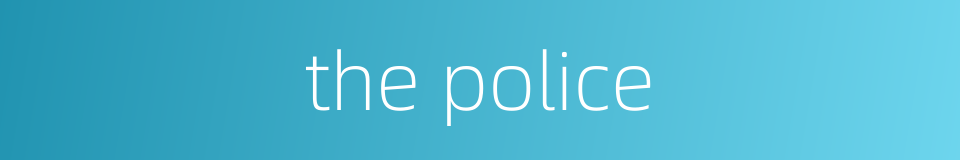 the police的同义词