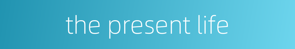 the present life的同义词