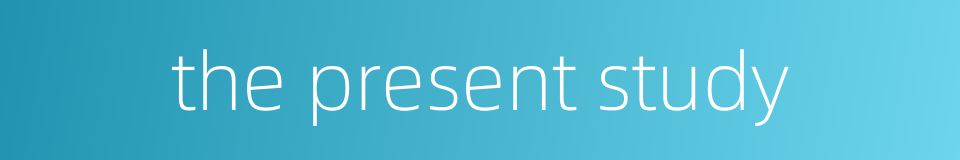 the present study的同义词