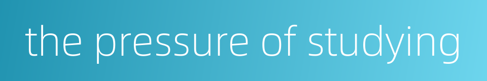 the pressure of studying的同义词