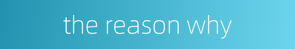 the reason why的同义词