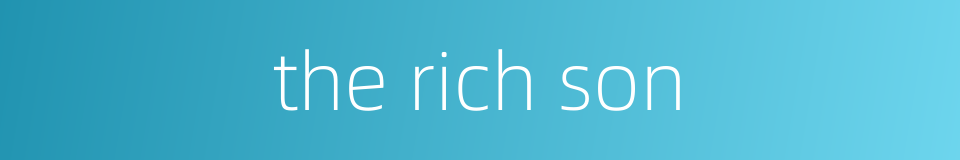 the rich son的同义词