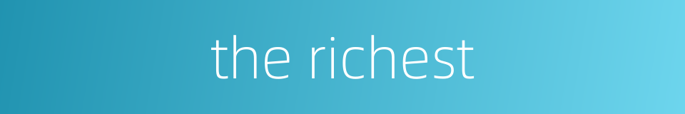 the richest的同义词