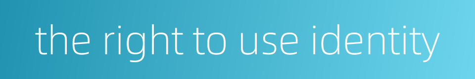 the right to use identity的同义词