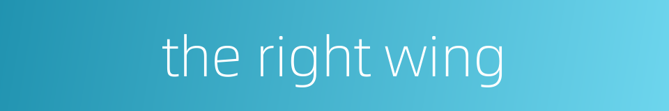 the right wing的同义词