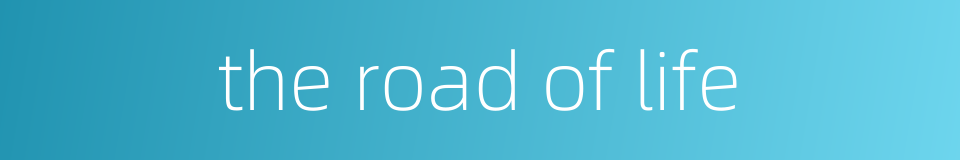 the road of life的同义词