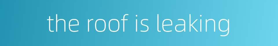 the roof is leaking的同义词