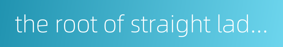 the root of straight ladybell的同义词