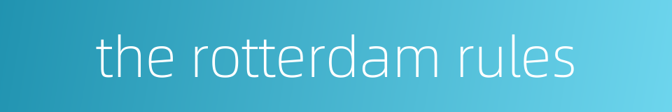 the rotterdam rules的同义词