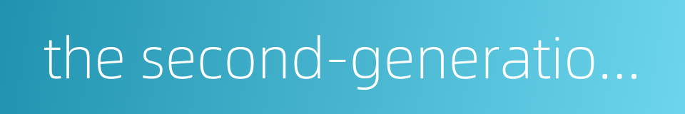 the second-generation id card的同义词