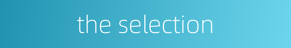 the selection的同义词