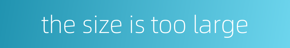 the size is too large的同义词