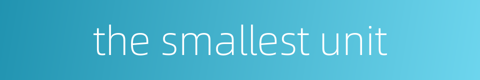 the smallest unit的同义词