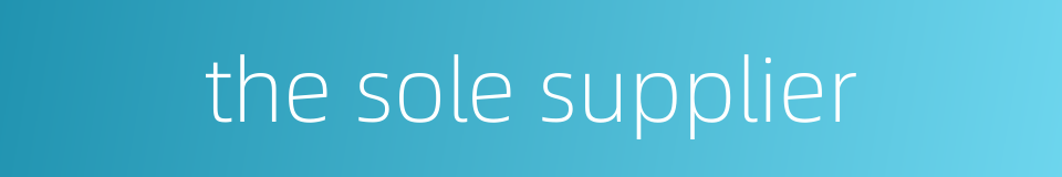 the sole supplier的同义词
