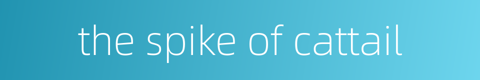 the spike of cattail的同义词