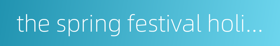 the spring festival holiday的同义词