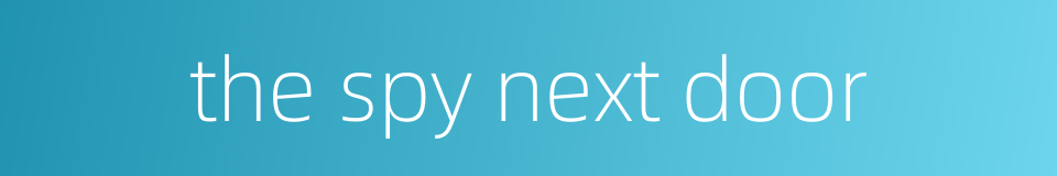 the spy next door的同义词