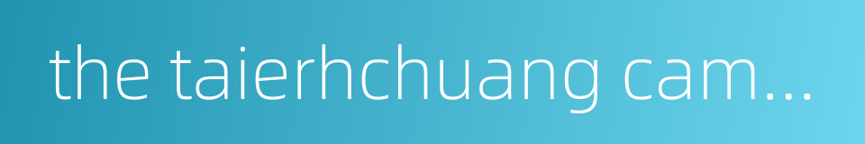 the taierhchuang campaign的同义词