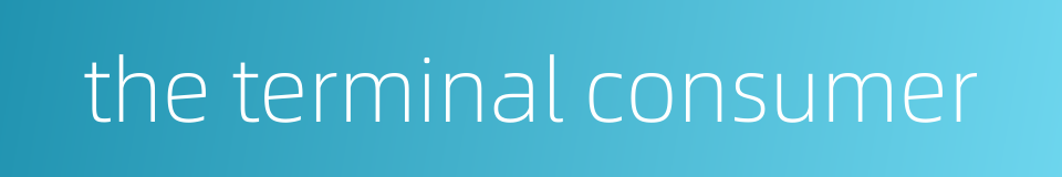 the terminal consumer的同义词