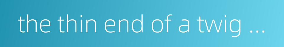 the thin end of a twig etc的同义词