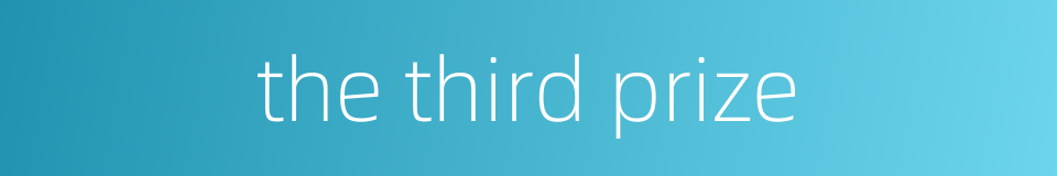 the third prize的同义词