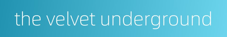 the velvet underground的同义词