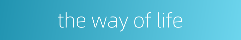 the way of life的同义词