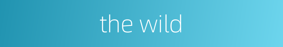 the wild的同义词