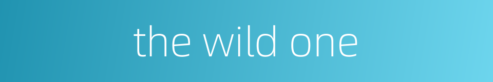 the wild one的同义词