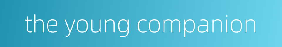 the young companion的同义词