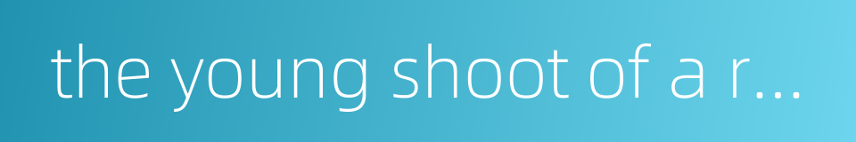 the young shoot of a reed的同义词