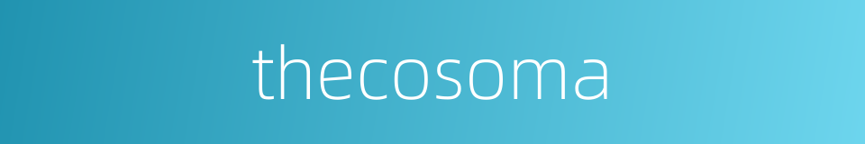 thecosoma的同义词