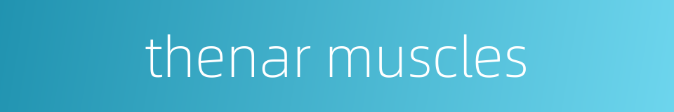 thenar muscles的同义词