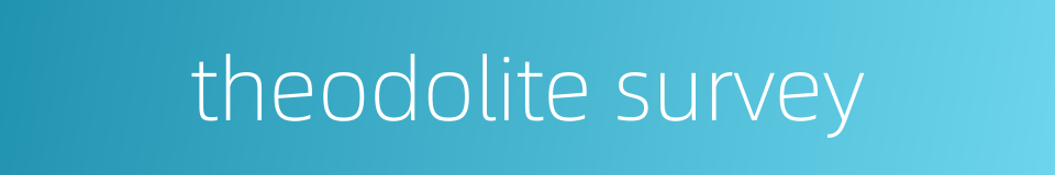 theodolite survey的同义词